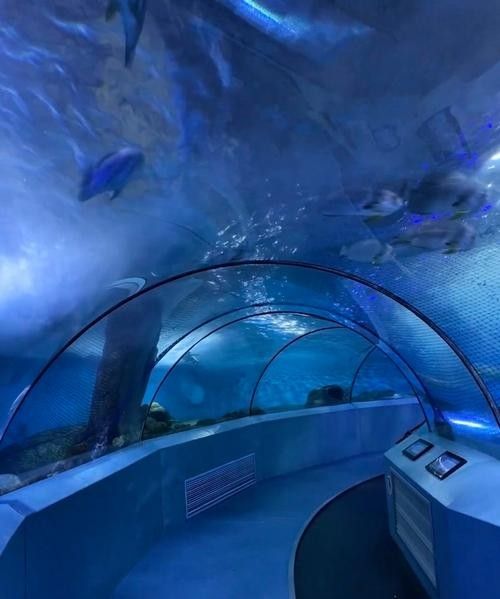 溧水哪個水族館龍魚好？祥龍魚場龍魚：南京市溧水區夢景生態水族館