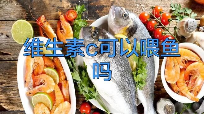 如何給金龍魚投喂維生素？：如何為金龍魚提供維生素