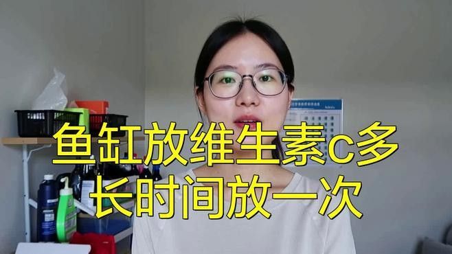 如何給金龍魚投喂維生素？：如何為金龍魚提供維生素