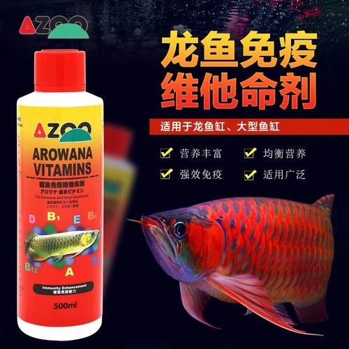 臺灣還有哪些龍魚元素品牌：臺灣龍魚飼料品牌排行榜