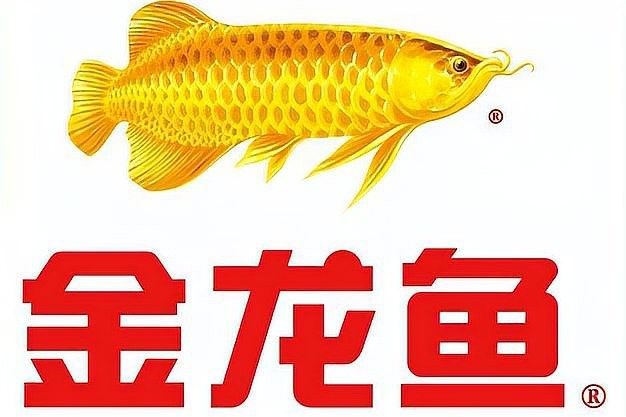 梁汾金龍魚醋業有無負面新聞：梁汾金龍魚醋業有無負面新聞關于梁汾金龍魚醋業的負面新聞