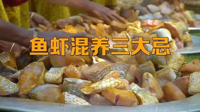 混養時需要注意哪些問題：混養觀賞魚的注意事項