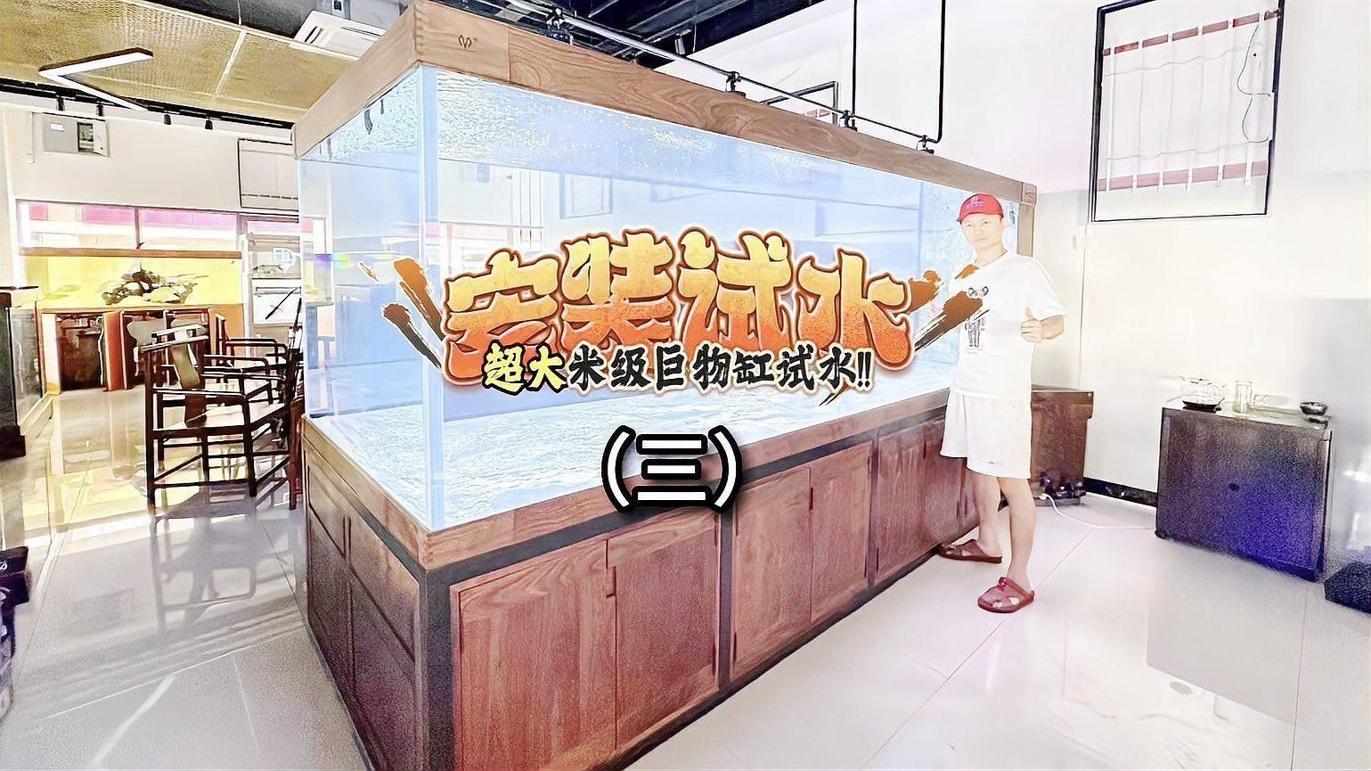 龍魚虎魚魟魚混養(yǎng)需要哪些設(shè)備：魚、虎魚和魟魚混養(yǎng)的寓意有多少