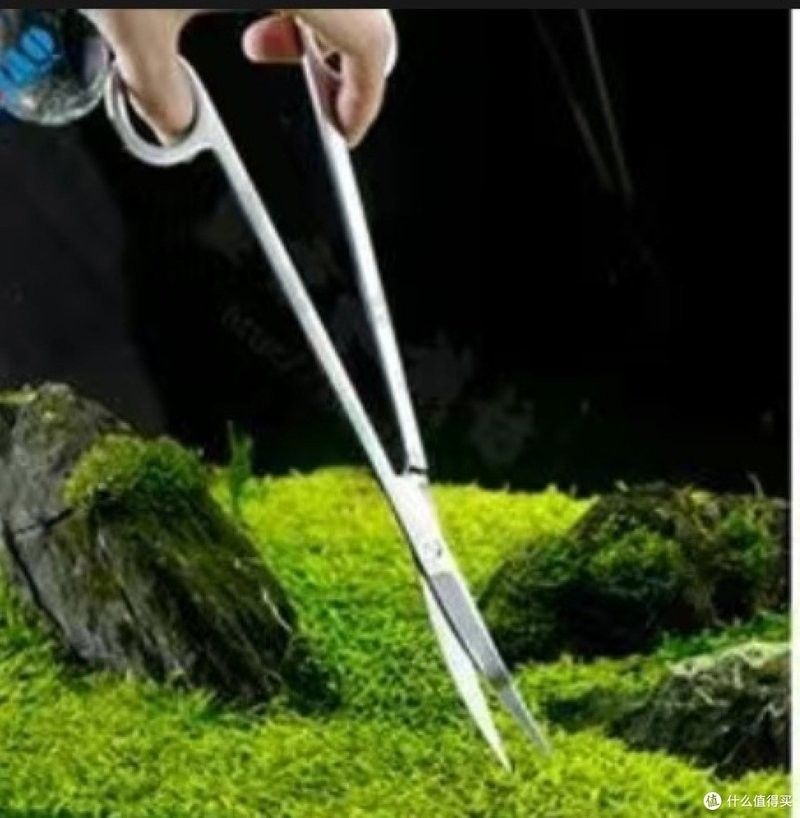 草缸造景需要哪些工具：草缸造景基本工具清單