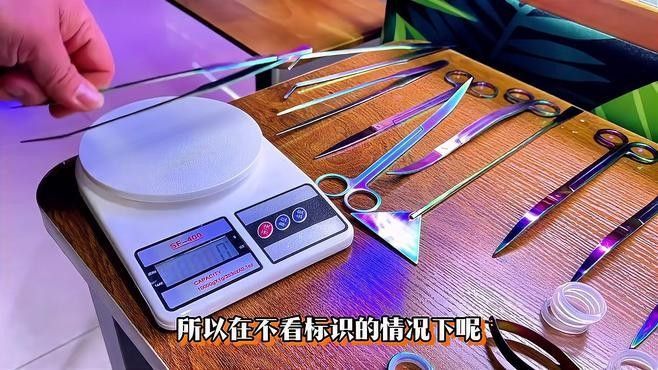 草缸造景需要哪些工具：草缸造景基本工具清單