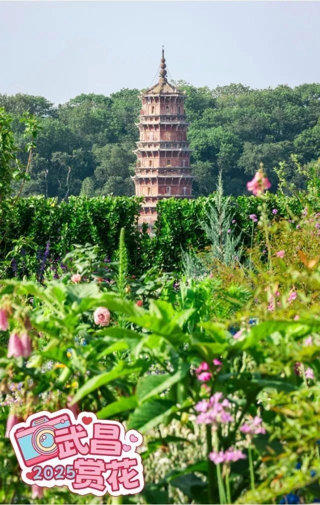 金龍魚大廈屋頂花園何時建成？：金龍魚大廈屋頂花園建成時間未明確，未檢索到與“金龍魚大廈”直接相關(guān)的建設(shè)或竣工時間