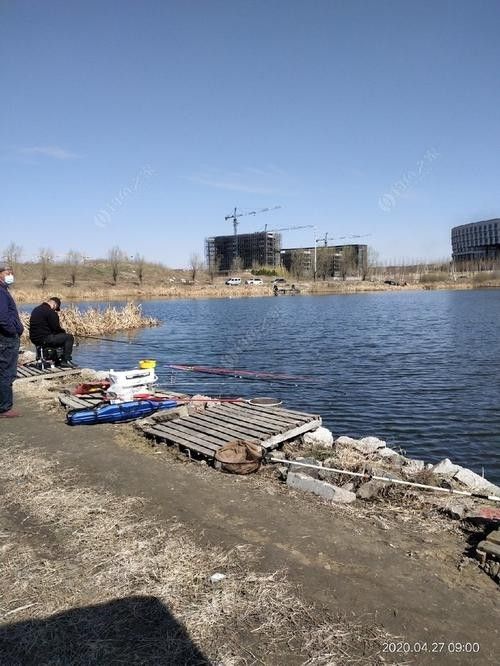 如何聯系哈爾濱龍魚灣垂釣園：哈爾濱龍魚灣垂釣園的聯系方式是一些可能的步驟