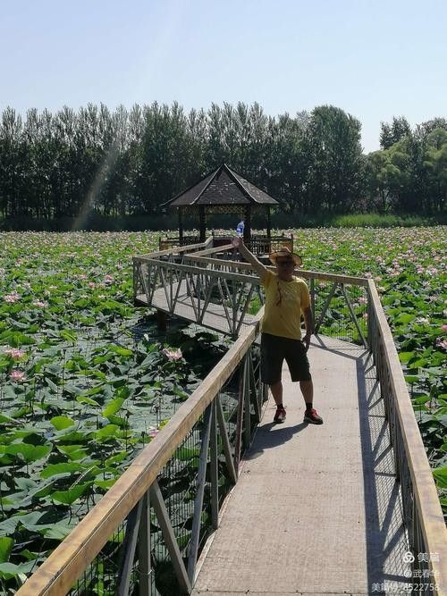 如何聯系哈爾濱龍魚灣垂釣園：哈爾濱龍魚灣垂釣園的聯系方式是一些可能的步驟
