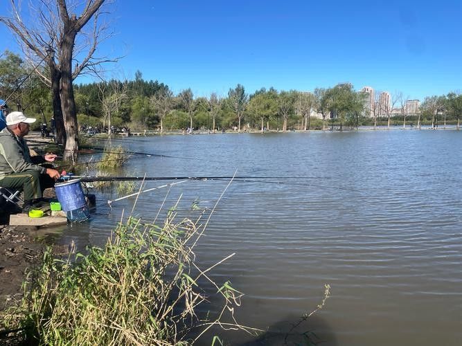 如何聯系哈爾濱龍魚灣垂釣園：哈爾濱龍魚灣垂釣園的聯系方式是一些可能的步驟