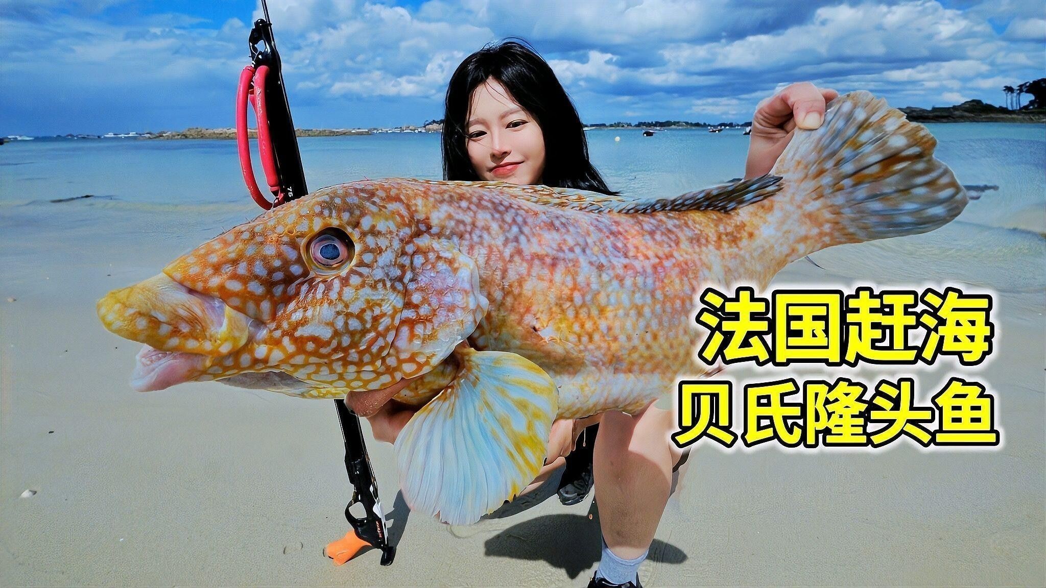 斑點長手魚幼體存活率有多高？：如何提高斑點長手魚幼體存活率？