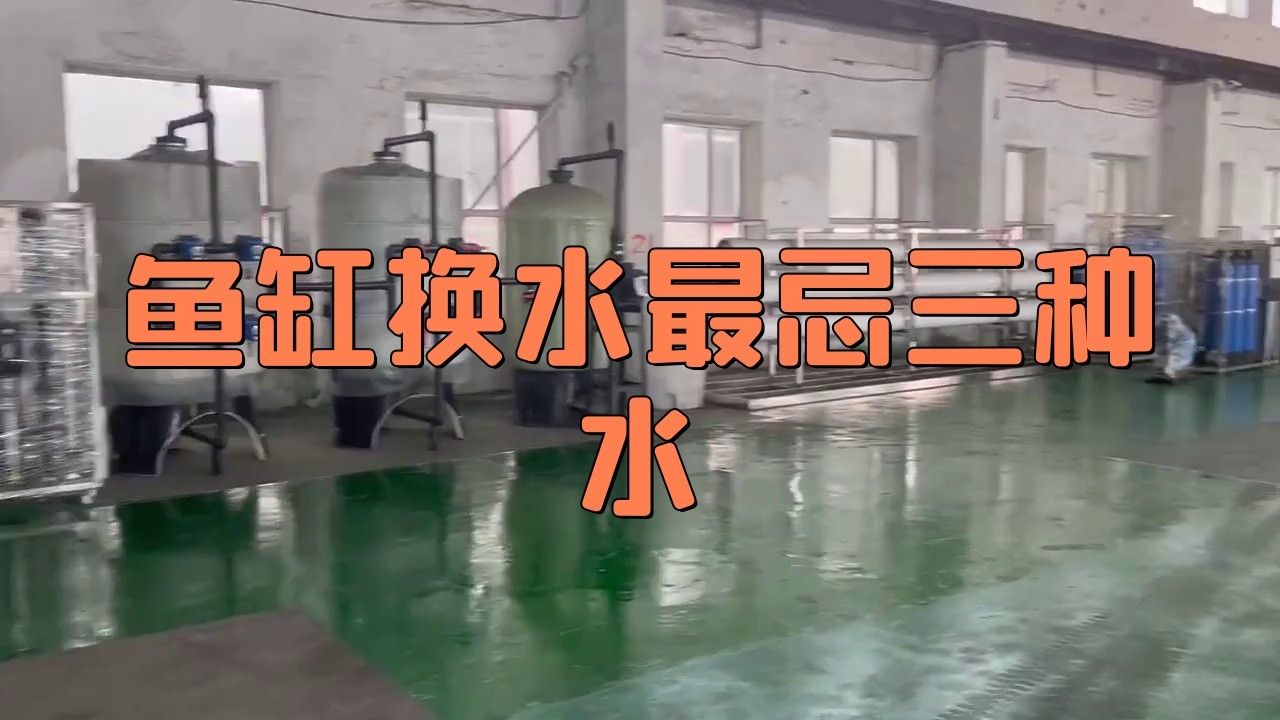 換水時水溫差多少合適：熱帶魚換水的注意事項