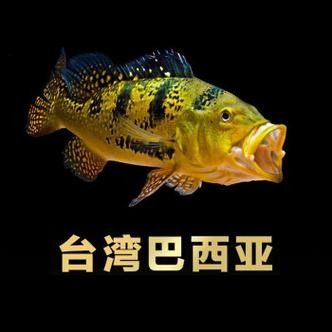 給我一些巴西亞魚和金龍魚混養的圖片：關于巴西亞魚與金龍魚混養的圖片資源及相關建議