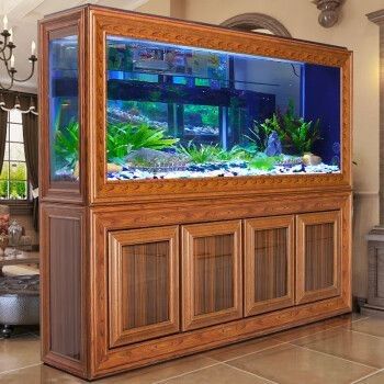 如何選擇適合的金龍魚缸品牌？：適合金龍魚缸品牌時需要考慮幾個關鍵因素以確保您獲得最佳水質和美觀效果