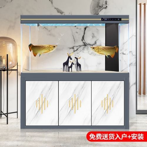 如何選擇適合的金龍魚缸品牌？：適合金龍魚缸品牌時需要考慮幾個關鍵因素以確保您獲得最佳水質和美觀效果