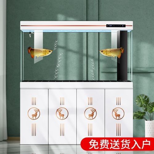 如何選擇適合的金龍魚缸品牌？：適合金龍魚缸品牌時需要考慮幾個關鍵因素以確保您獲得最佳水質和美觀效果