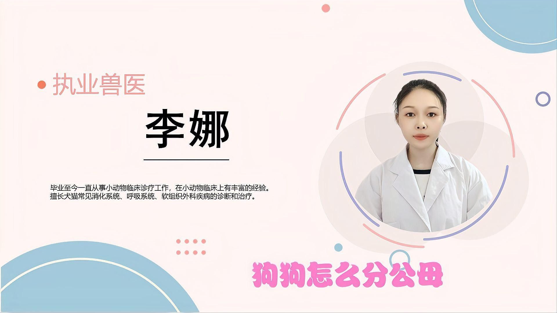 如何結合生殖器觀察法分公母：如何區分公貓母貓