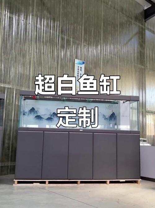 寶鉆龍魚缸哪個(gè)顏色最受歡迎？：寶鉆龍魚缸哪個(gè)型號(hào)最受歡迎寶鉆龍魚缸定制款解析