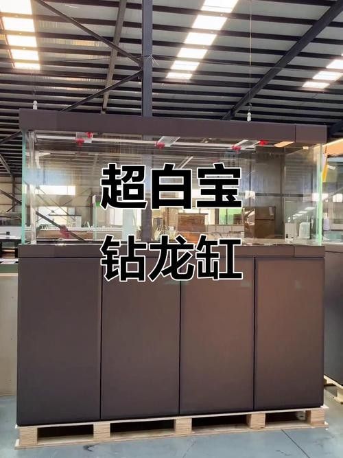 寶鉆龍魚缸哪個(gè)顏色最受歡迎？：寶鉆龍魚缸哪個(gè)型號(hào)最受歡迎寶鉆龍魚缸定制款解析
