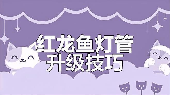 如何提高紅龍魚視頻的播放量？：如何提高紅龍魚視頻播放量