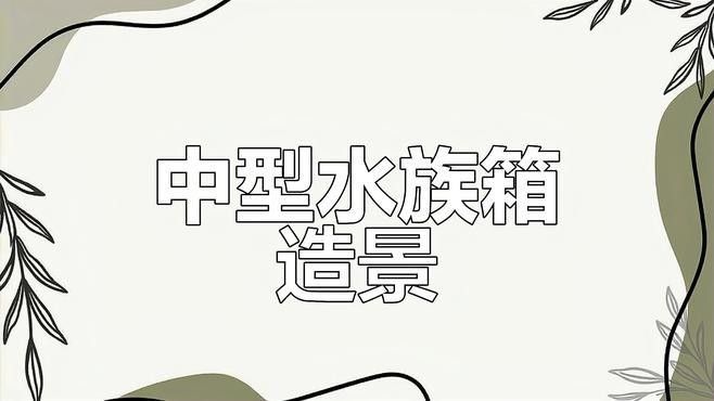龍魚缸石頭造景需要哪些工具：龍魚缸石頭造景全攻略