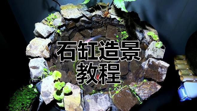 龍魚缸石頭造景需要哪些工具：龍魚缸石頭造景全攻略