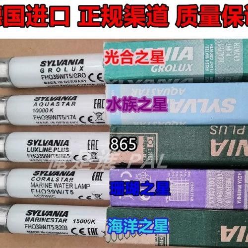 仟魚T5燈管的價格是多少：仟魚t5燈管價格