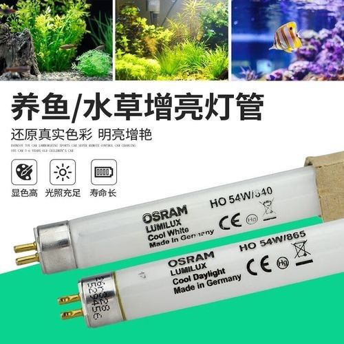 仟魚T5燈管的價格是多少：仟魚t5燈管價格