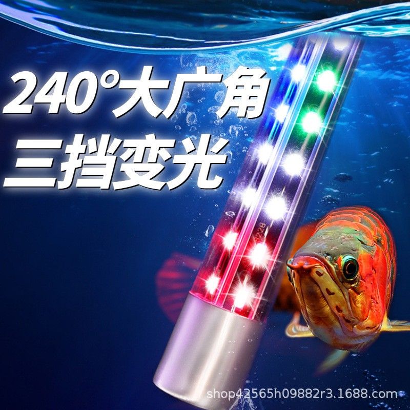 仟魚T5燈管的價格是多少：仟魚t5燈管價格