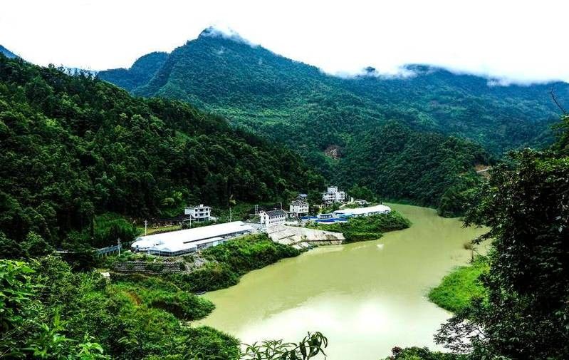 鶴峰哪個水族館龍魚好？祥龍魚場龍魚：祥龍漁場：龍魚養(yǎng)殖的全球標(biāo)桿