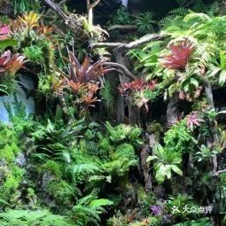 金源財富花卉交易市場還有哪些水族店：北京金源財富花卉交易市場哪個水族店最大