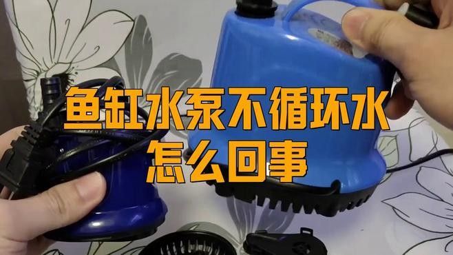 如何調節紅龍魚缸的水流？：紅龍魚缸水流調節技巧