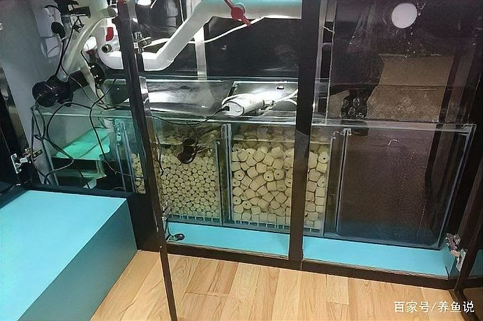 上濾魚缸濾材如何擺放：養(yǎng)魚說，魚缸濾材擺放有講究