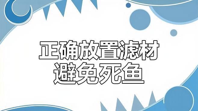 上濾魚缸濾材如何擺放：養(yǎng)魚說，魚缸濾材擺放有講究