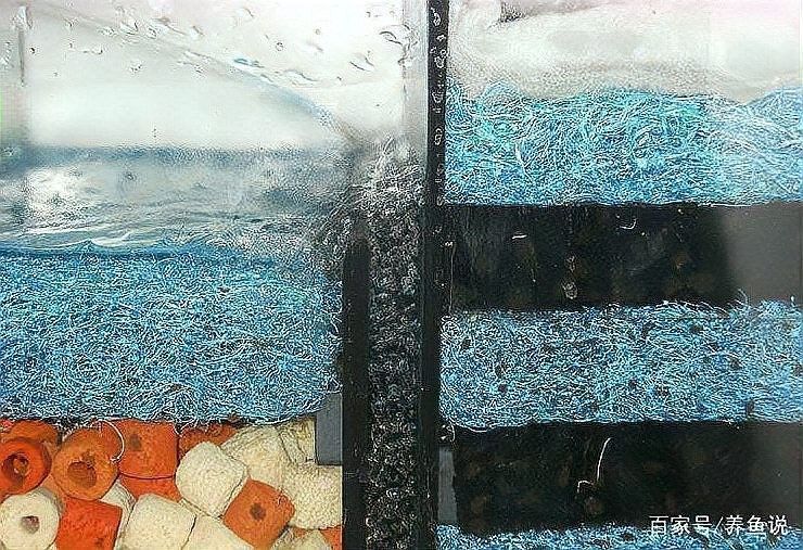 上濾魚缸濾材如何擺放：養(yǎng)魚說，魚缸濾材擺放有講究