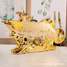 黑金剛過背金龍魚的市場價格是多少：金剛過背金龍魚價格