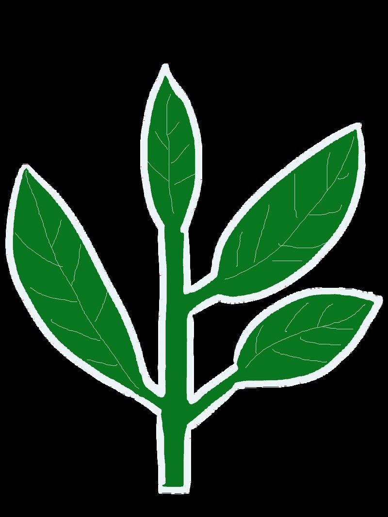 如何檢測水質(zhì)中的氨氮值：如何檢測水質(zhì)中的氨氮