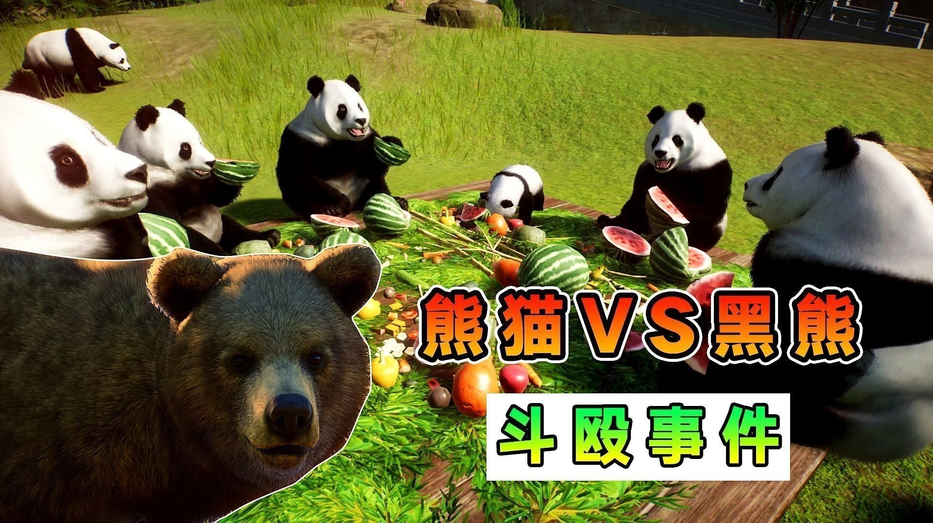混養時如何避免打架？：如何避免混養動物打架