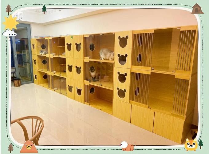混養時如何避免打架？：如何避免混養動物打架