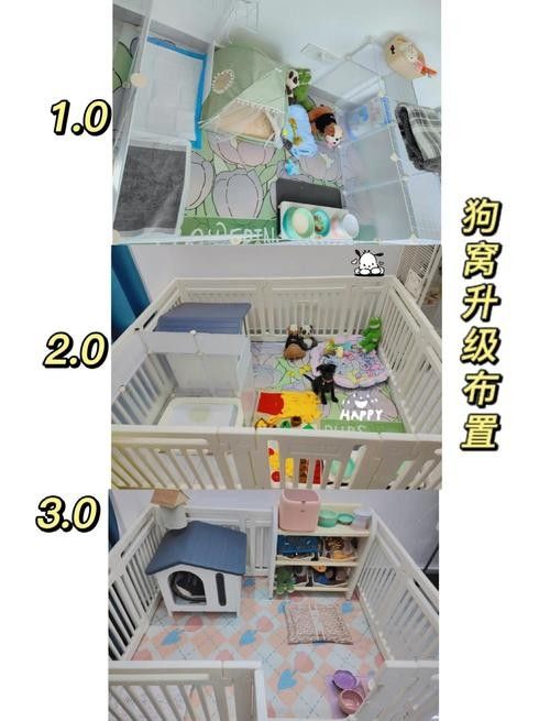混養時如何避免打架？：如何避免混養動物打架