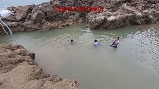 如何區分不同品種的白龍魚：如何辨別不同品種的白龍魚