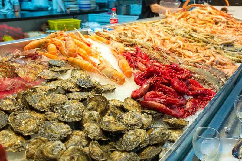 如何聯(lián)系保定龍魚市場的商家：保定龍魚市場商家聯(lián)系方式