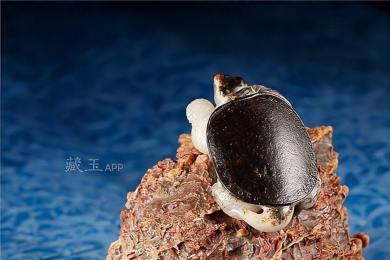 哪種龍龜材質(zhì)最適合佩戴：和田玉龍龜擺件的多元材質(zhì)與風水功效詳解龍龜什么材質(zhì)好