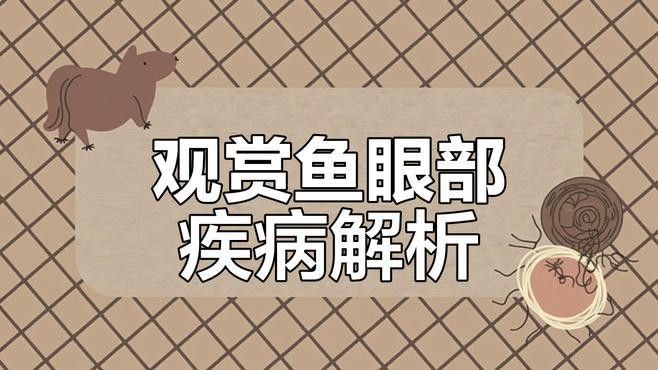 郁南縣有哪些知名的龍魚養殖企業？（廣東郁南縣龍魚養殖業未來有計劃發展龍魚養殖企業名錄）
