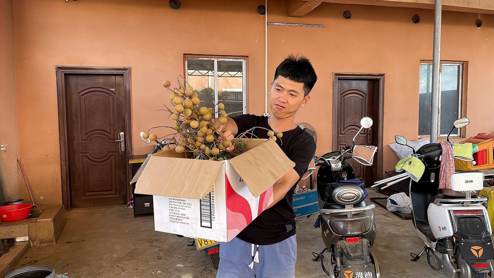 如何防治龍眼爛尾病？：如何防治龍眼爛尾病