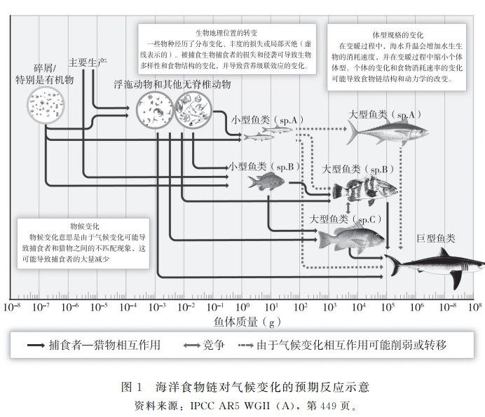 海龍魚禁令對相關(guān)產(chǎn)業(yè)有哪些影響：海龍魚禁令對相關(guān)產(chǎn)業(yè)產(chǎn)生了多方面的影響
