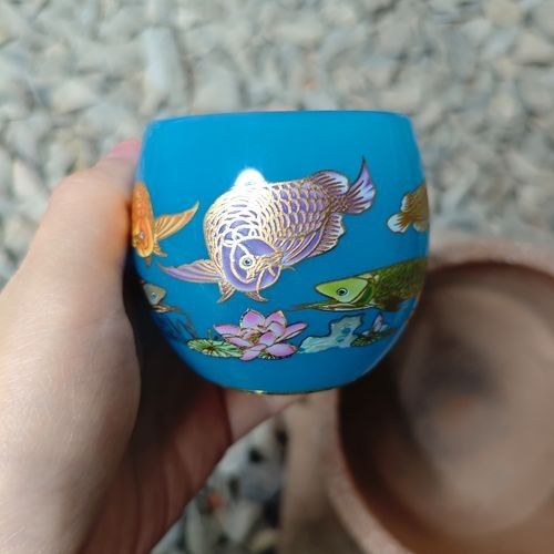 給我一些藍龍魚的圖片：藍龍魚圖片欣賞