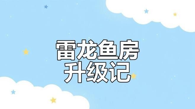 雷龍魚缸多大合適：雷龍魚缸怎么選