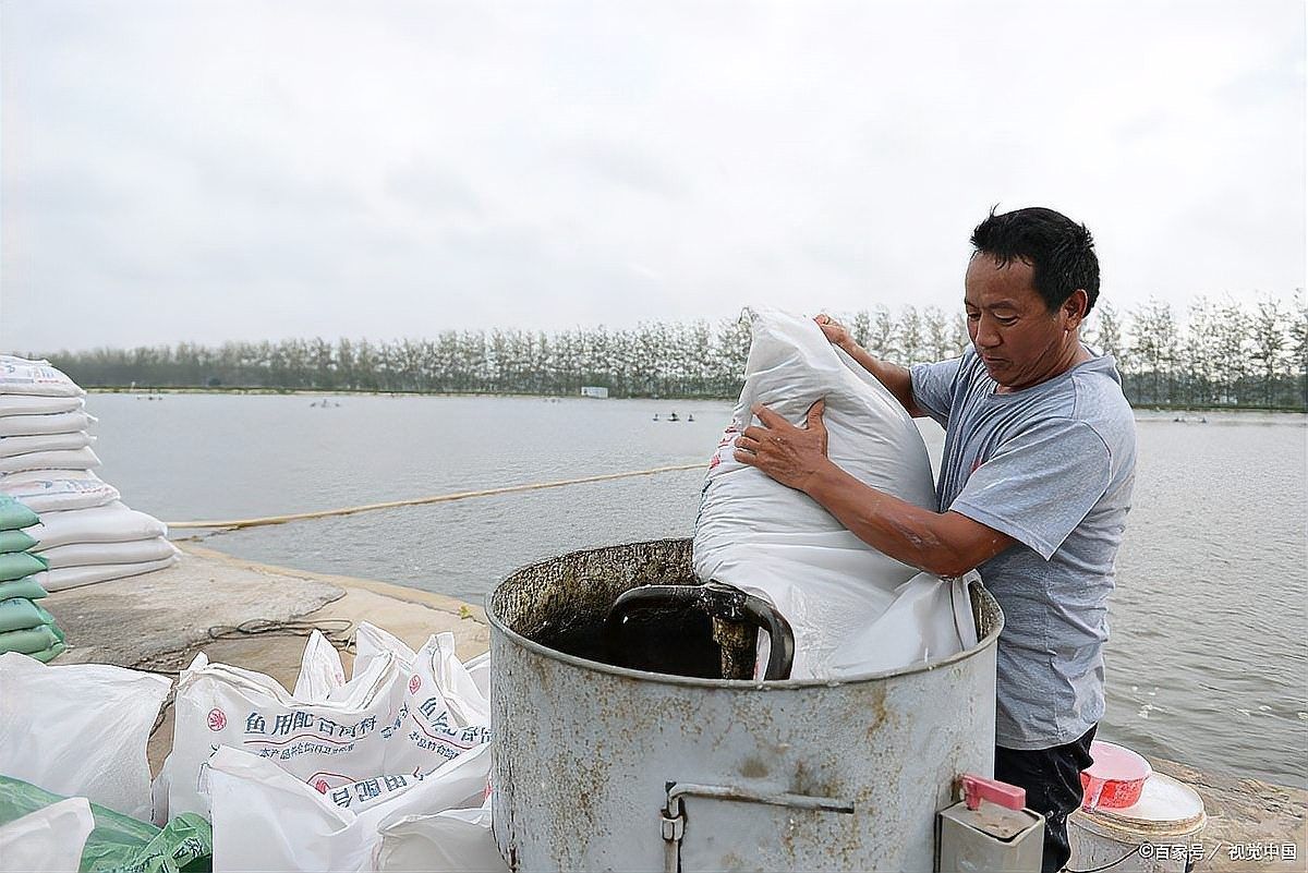 龍魚生病期間需要停食多久：魚在生病期間通常需要停食一段時間，具體時間取決于嚴重程度和治療措施 龍魚生病期間需要停食多久：魚在生病期間通常需要停食一段時間，具體時間取決于嚴重程度和治療措施 龍魚百科 第2張