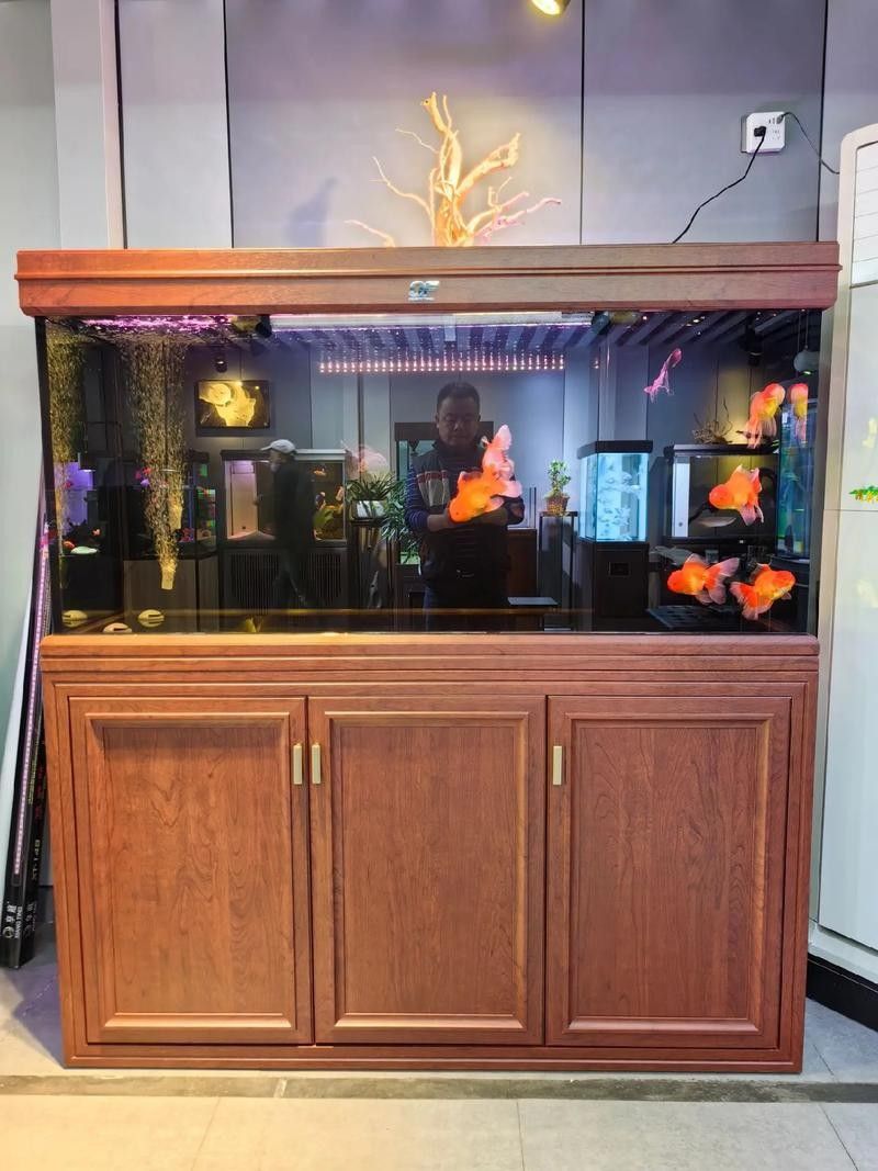 龍魚濾材品牌推薦：幾款備受推崇的龍魚濾材品牌及其特點(diǎn)：**