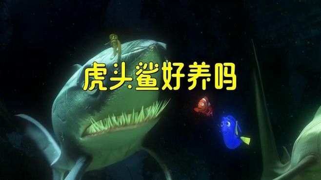 虎鯊和龍魚混養需要多大的魚缸：虎鯊和龍魚混養的魚缸大小取決于多種因素